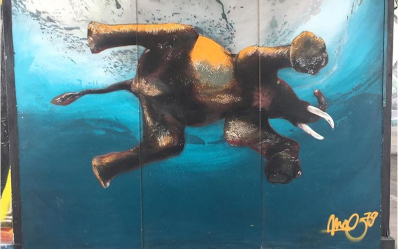 Graffiti aus dem Teufelsberg zeigt schwimmenden Elefanten