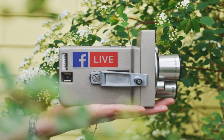 Digitaler Wahlkampf: Analog-Kamera mit Facebook Logo und Live Aufschrift vor dem Hintergrund der Natur