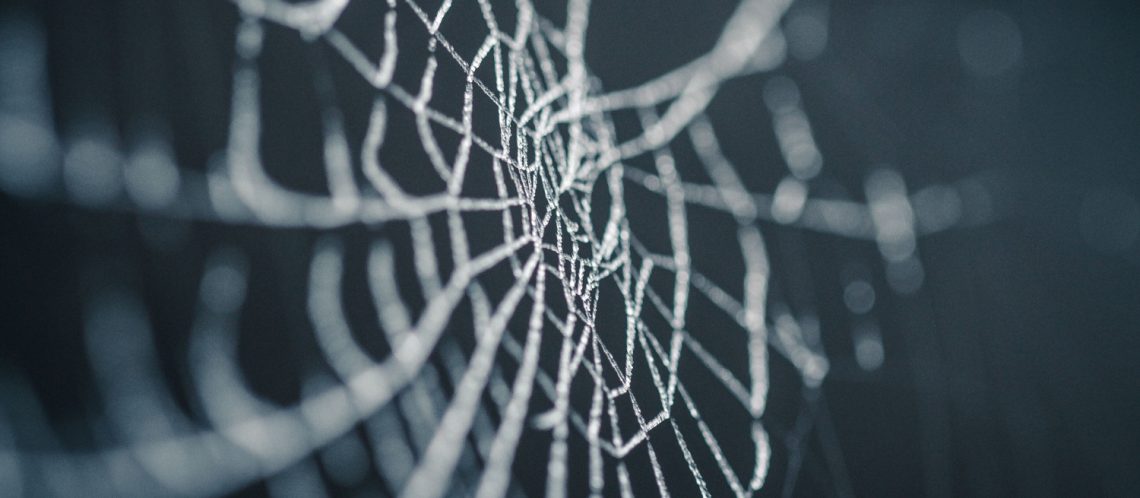 Dunkel Spinnennetz zum Artikelthema Halloween-Make-up-Ideen