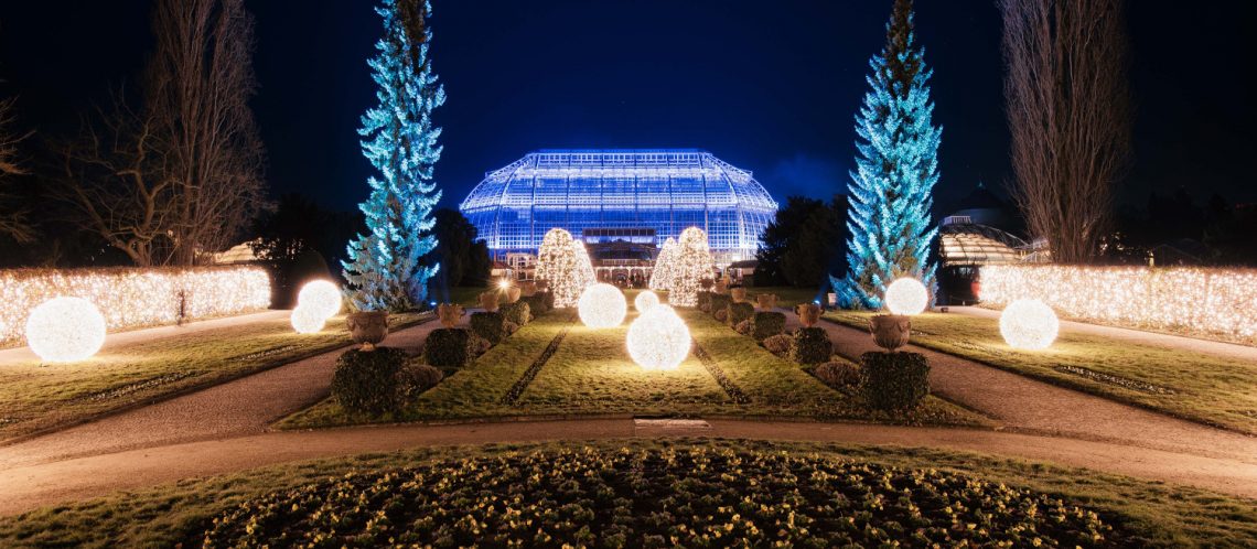 Beleuchtetes Tropenhaus im Botanischen Garten Berlin zum Artikel "Wie im Märchen: Der Christmas Garden Berlin"