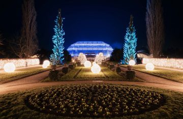 Beleuchtetes Tropenhaus im Botanischen Garten Berlin zum Artikel "Wie im Märchen: Der Christmas Garden Berlin"